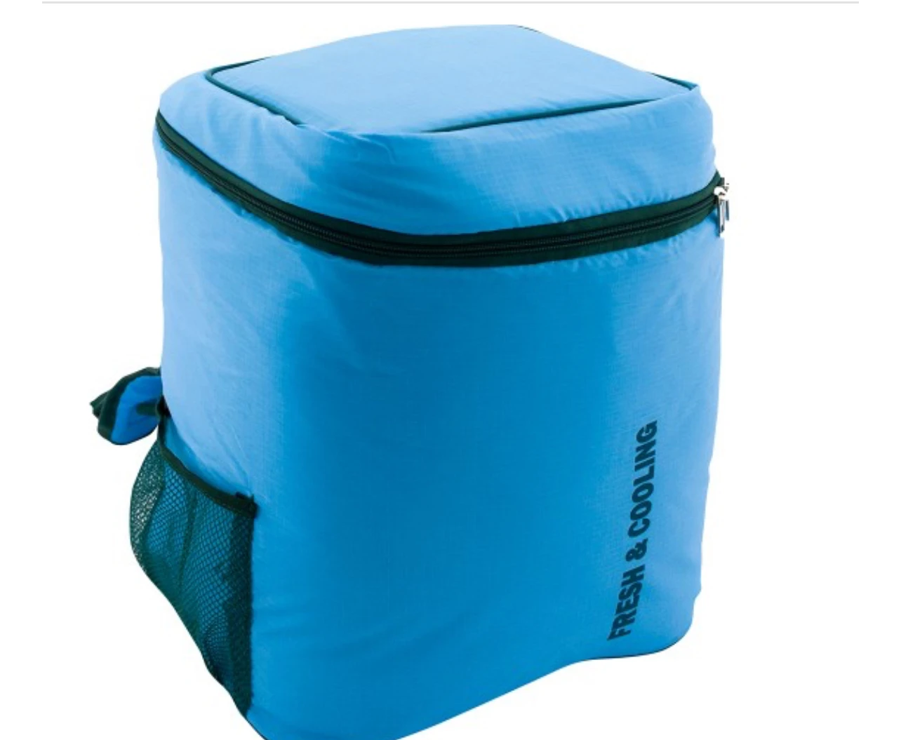 20L COOLER BAG BLUE